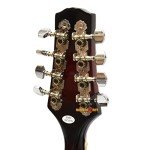 Stagg M50E Bluegrass Mandolin - Nato Top - Redburst