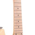 Gold Tone 6-String Guitar Mandolin VIP Exclusive