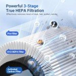 Large Room Air Purifier with HEPA Filter & Night Light