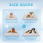 Tom's Lucky Pet Pad: Cooling Water Mat for Pets