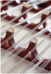Chinese musical instrument professional mahogany yangqin