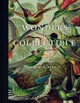 Wonders Are Collectible: Taxidermy: The Beauty of Beetles, Bugs and Butterflies