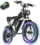 20" Fat TireElectric Bike 1500W 48V/20Ah Removable Battery Mountain Bike