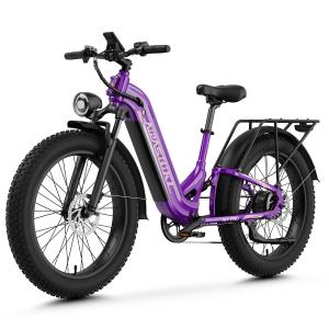 1800W Electric Bike 48V 17.5Ah 26" Fat Tire Ebike Mountain Bicycle for Adult