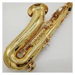 Saxophone Set Tenor Saxophone Black Lacquer with Case Sax Tenor Mouthpiece Ligature Reeds Neck Musical Instrument Accessories Student Saxophone (Color : Gold)