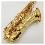 Saxophone Set Tenor Saxophone Black Lacquer with Case Sax Tenor Mouthpiece Ligature Reeds Neck Musical Instrument Accessories Student Saxophone (Color : Gold)