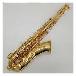 Saxophone Set Tenor Saxophone Black Lacquer with Case Sax Tenor Mouthpiece Ligature Reeds Neck Musical Instrument Accessories Student Saxophone (Color : Gold)