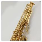 Saxophone Set Tenor Saxophone Black Lacquer with Case Sax Tenor Mouthpiece Ligature Reeds Neck Musical Instrument Accessories Student Saxophone (Color : Gold)