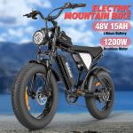   20'' Fat Tire Electric Bike 48V 15Ah 1200W Battery Motor Off-Road E-Bike