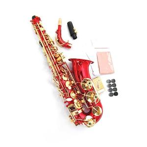 Professional Leve Alto Saxophone E-Flat Red Sax Musical Instrument With Mouthpiece Ligature Reed Neck Saxophone for Beginner