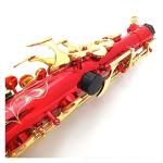 Professional Leve Alto Saxophone E-Flat Red Sax Musical Instrument With Mouthpiece Ligature Reed Neck Saxophone for Beginner