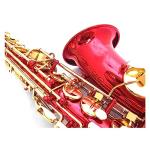 Professional Leve Alto Saxophone E-Flat Red Sax Musical Instrument With Mouthpiece Ligature Reed Neck Saxophone for Beginner