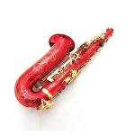 Professional Leve Alto Saxophone E-Flat Red Sax Musical Instrument With Mouthpiece Ligature Reed Neck Saxophone for Beginner