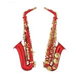 Professional Leve Alto Saxophone E-Flat Red Sax Musical Instrument With Mouthpiece Ligature Reed Neck Saxophone for Beginner