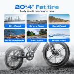Electric Bike Adult 1500W 30-60Mile 25MPH 20*4" Fat Tire Off-road Mountain Ebike