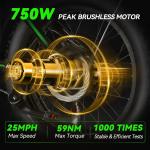 Electric Bike 20" Fat Tire E-Bike 750W 48V 15Ah Battery 25MPH 30 Miles for Adult