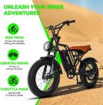 Electric Bike 20" Fat Tire E-Bike 750W 48V 15Ah Battery 25MPH 30 Miles for Adult