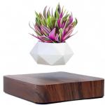 VIP Levitating Air Bonsai Pot Set (Dark Color)