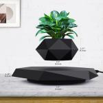 Levitating Plant Pot for Small Plants - Stunning Decor