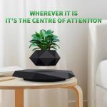 Levitating Plant Pot for Small Plants - Stunning Decor
