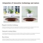 Floating Magnetic Levitating Plant Pot for Succulents, Bonsai