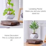 Floating Magnetic Levitating Plant Pot for Succulents, Bonsai