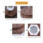 Floating Magnetic Levitating Plant Pot for Succulents, Bonsai