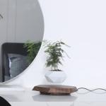 Floating Magnetic Levitating Plant Pot for Succulents, Bonsai
