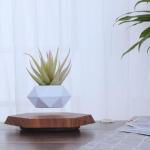 Floating Magnetic Levitating Plant Pot for Succulents, Bonsai