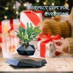 Levitating Plant Pot - Magnetic Floating for Home Décor