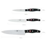 ZWILLING Twin Signature 3-pc German Knife Set, Razor-Sharp