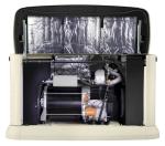 Generac Guardian Series 10,000 Watt (10Kw) Dual Fuel 50-State Air-Cooled Home