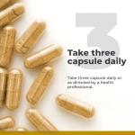 Premier Research Labs CircuZyme - for Circulation, Arterial Health & Blood Pressure Support - with Cordyceps, Olive Leaf & Tocotrienols - 60 Plant-Source Capsules