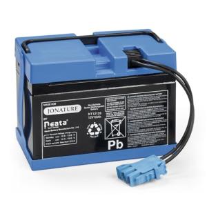 12V 12AH Replacement Battery for Kids Ride-On Cars