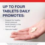 Metagenics Vasotensin - Supports Healthy Blood Pressure Levels Already in The Normal Range* - Bonito Peptide Supplement - Fish Protein - Non-GMO - Gluten-Free - 120 Tablets