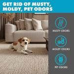 Professional Grade 100W UV-C Sanitizer with Remote Timer