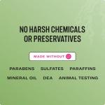 Mielle Organics Rosemary Mint Strengthening Shampoo: Hair Savior!