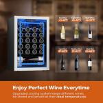 Ca'Lefort Wine Fridge - 47 Bottles, Dual Zone