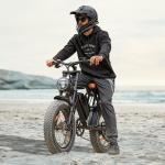 1500W ELECTRIC BIKE FOR ADULT 60MILE 33MPH 20'' FAT TIRE OFF-ROAD MOUNTAIN EBIKE