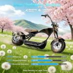 VIP Smart Shopper: eAhora 4000W M1P Pro Electric Motorcycle