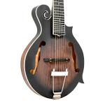 Gold Tone F-Style Mandolin-Guitar with Case