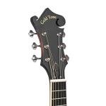 Gold Tone F-Style Mandolin-Guitar with Case