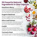 26-in-1 Nitric Oxide Supplement - Blood Pressure Supplements for Heart Health with Coq 10, Organic Beet Root Capsules, Olive Leaf Extract, Hawthorn Berry and Garlic Supplements with 2103mg Per Serving