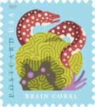 Coral Reefs Postcard Forever Stamps - Pack of 100