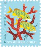 Coral Reefs Postcard Forever Stamps - Pack of 100
