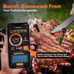 Smart Wireless Meat Thermometer with Dual Probes (Green)