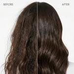 Luxury Shampoo & Conditioner Set 10.1 oz