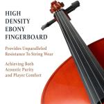 Cecilio CCO-500 Full Size Ebony Cello Bundle
