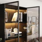 FAMAPY Glass Door Display Cabinet with Lights