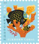 Coral Reefs Postcard Stamps 100 Pcs Sea Life